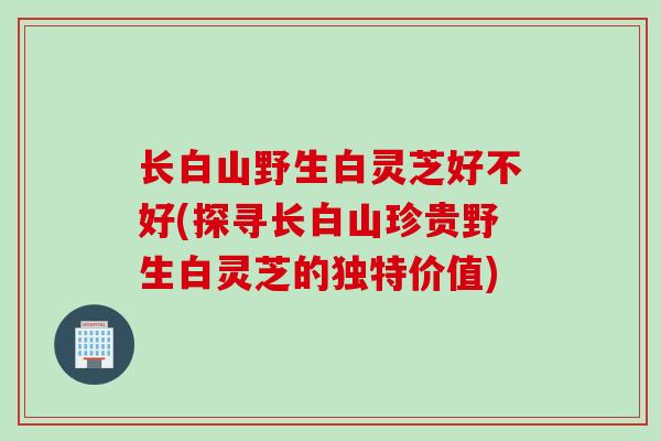 长白山野生白灵芝好不好(探寻长白山珍贵野生白灵芝的独特价值)