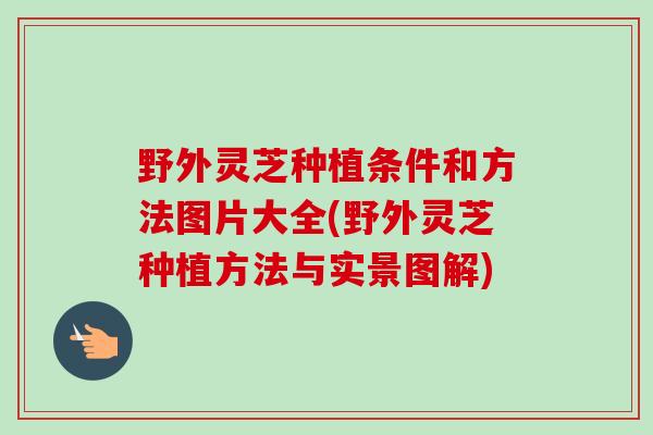 野外灵芝种植条件和方法图片大全(野外灵芝种植方法与实景图解)
