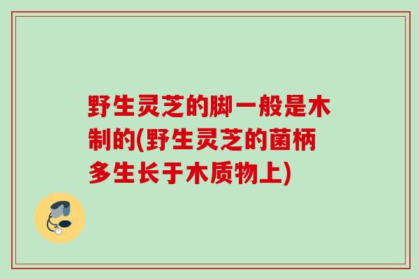 野生灵芝的脚一般是木制的(野生灵芝的菌柄多生长于木质物上)
