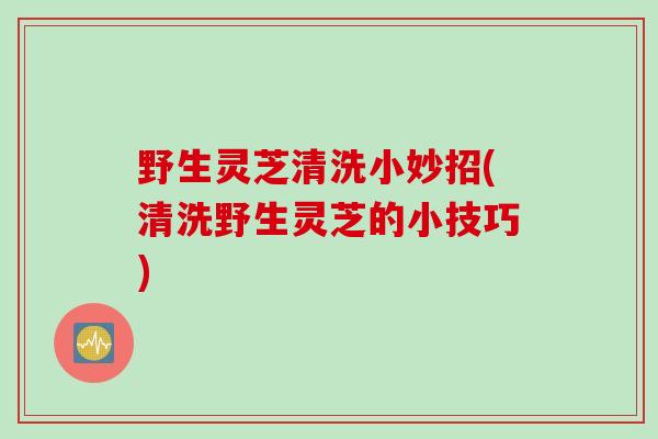 野生灵芝清洗小妙招(清洗野生灵芝的小技巧)