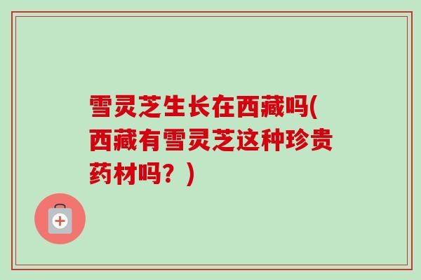 雪灵芝生长在西藏吗(西藏有雪灵芝这种珍贵药材吗?) 雪灵芝生长在西藏吗(西藏有雪灵芝这种珍贵药材吗?)