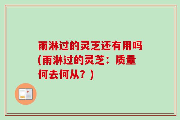 雨淋过的灵芝还有用吗(雨淋过的灵芝：质量何去何从？)