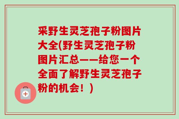 采野生灵芝孢子粉图片大全(野生灵芝孢子粉图片汇总——给您一个全面了解野生灵芝孢子粉的机会！)