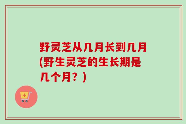 野灵芝从几月长到几月(野生灵芝的生长期是几个月？)