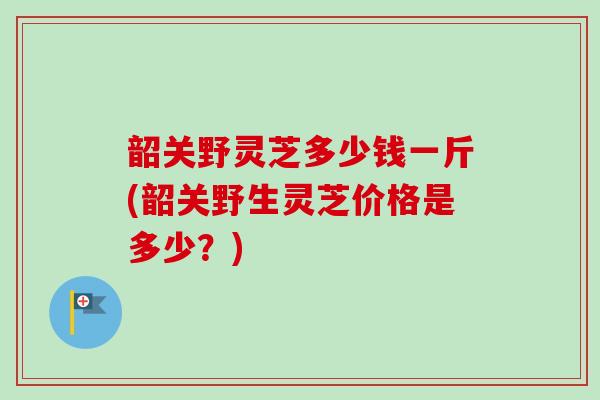 韶关野灵芝多少钱一斤(韶关野生灵芝价格是多少？)