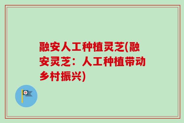 融安人工种植灵芝(融安灵芝：人工种植带动乡村振兴)