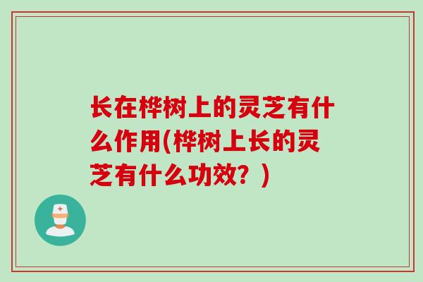 长在桦树上的灵芝有什么作用(桦树上长的灵芝有什么功效？)