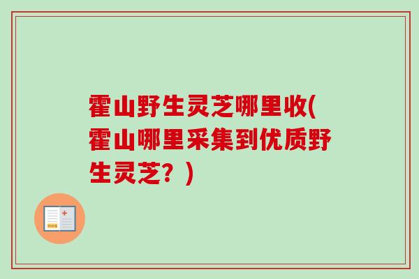 霍山野生灵芝哪里收(霍山哪里采集到优质野生灵芝？)