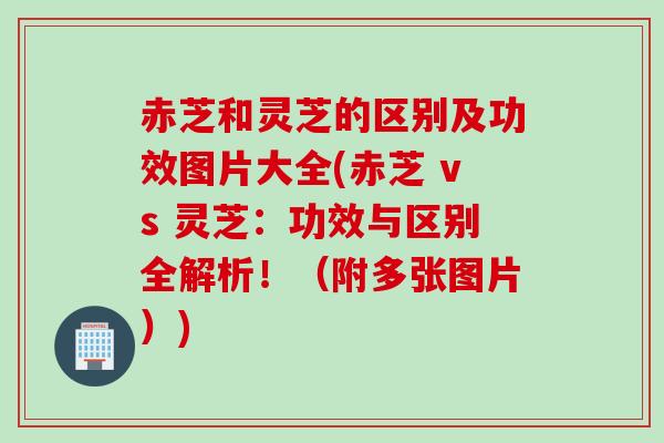 赤芝和灵芝的区别及功效图片大全(赤芝 vs 灵芝：功效与区别全解析！（附多张图片）)