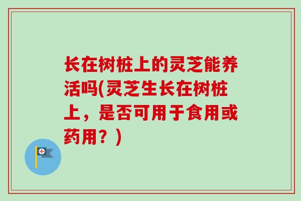 长在树桩上的灵芝能养活吗(灵芝生长在树桩上，是否可用于食用或药用？)