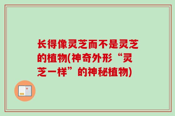 长得像灵芝而不是灵芝的植物(神奇外形“灵芝一样”的神秘植物)