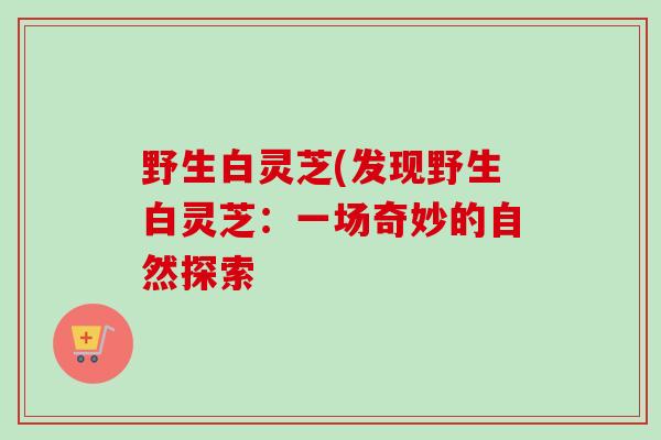 野生白灵芝(发现野生白灵芝：一场奇妙的自然探索