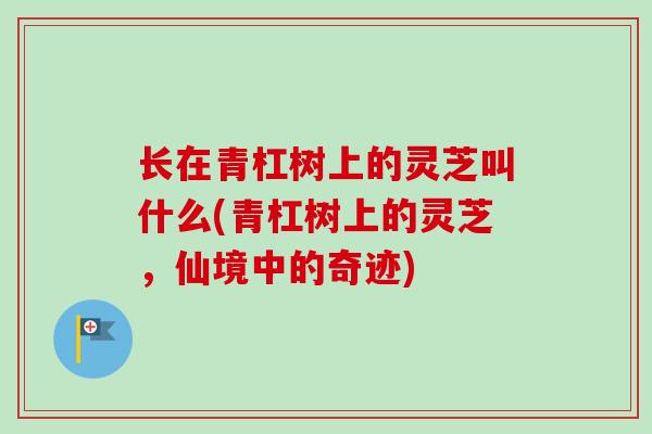 长在青杠树上的灵芝叫什么(青杠树上的灵芝，仙境中的奇迹)