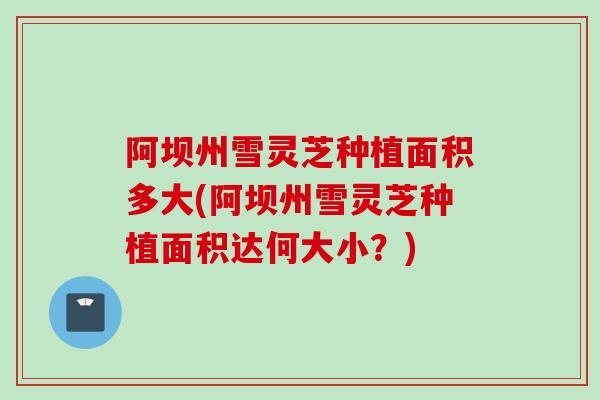 阿坝州雪灵芝种植面积多大(阿坝州雪灵芝种植面积达何大小？)