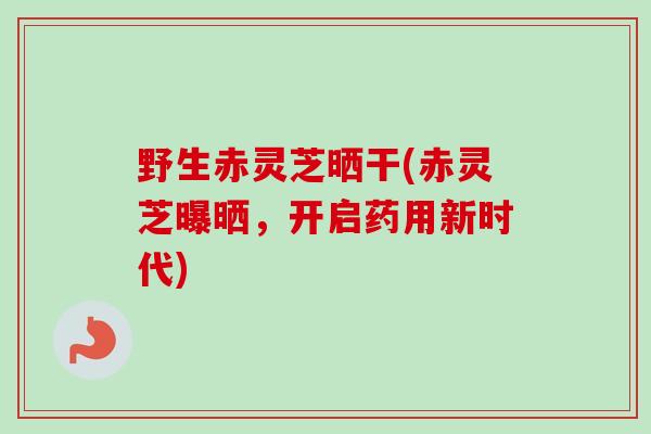 野生赤灵芝晒干(赤灵芝曝晒，开启药用新时代)