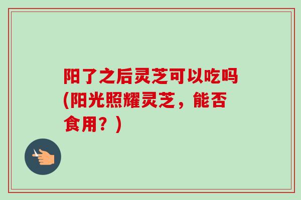 阳了之后灵芝可以吃吗(阳光照耀灵芝，能否食用？)