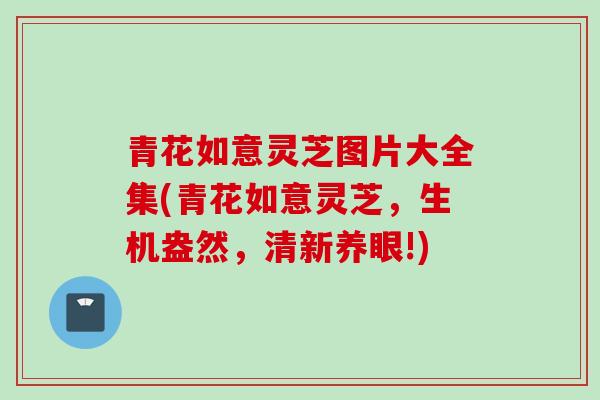 青花如意灵芝图片大全集(青花如意灵芝，生机盎然，清新养眼!)
