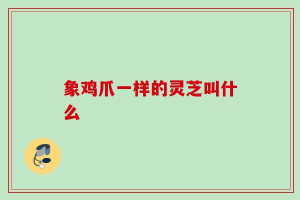 象鸡爪一样的灵芝叫什么 象鸡爪一样的灵芝叫什么