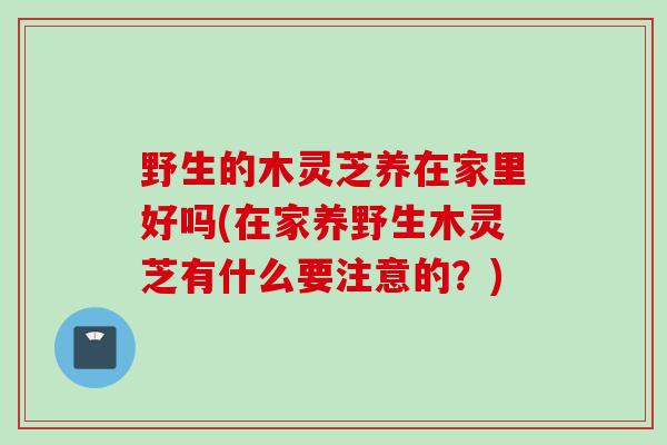 野生的木灵芝养在家里好吗(在家养野生木灵芝有什么要注意的？)