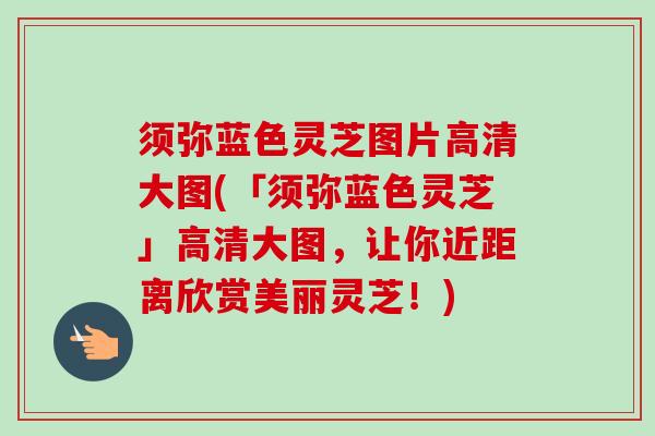 须弥蓝色灵芝图片高清大图(「须弥蓝色灵芝」高清大图，让你近距离欣赏美丽灵芝！)