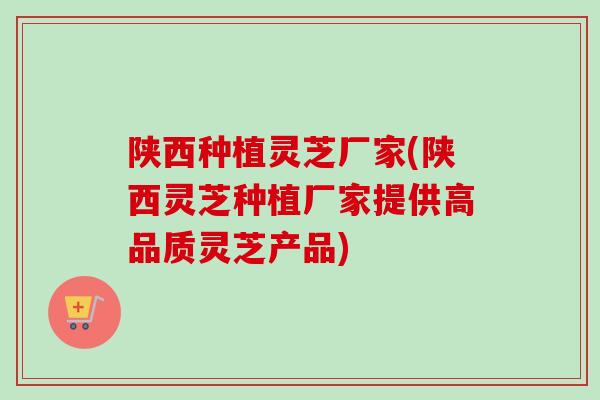 陕西种植灵芝厂家(陕西灵芝种植厂家提供高品质灵芝产品)