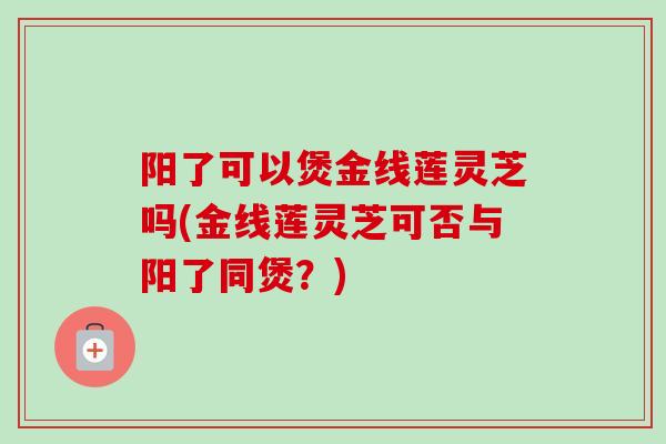 阳了可以煲金线莲灵芝吗(金线莲灵芝可否与阳了同煲？)