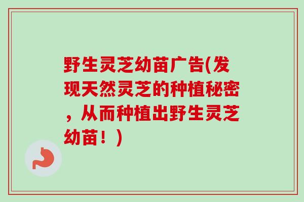 野生灵芝幼苗广告(发现天然灵芝的种植秘密，从而种植出野生灵芝幼苗！)