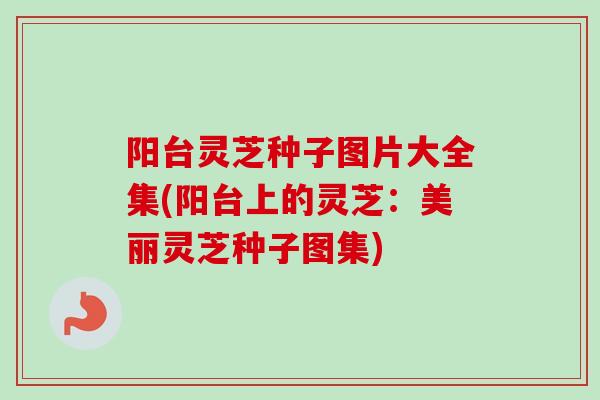 阳台灵芝种子图片大全集(阳台上的灵芝：美丽灵芝种子图集)