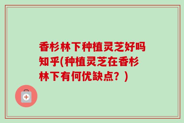 香杉林下种植灵芝好吗知乎(种植灵芝在香杉林下有何优缺点？)