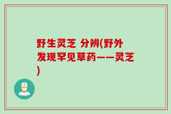 野生灵芝 分辨(野外发现罕见草药——灵芝)