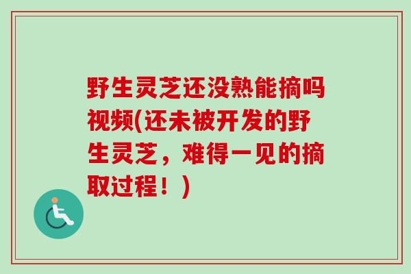 野生灵芝还没熟能摘吗视频(还未被开发的野生灵芝，难得一见的摘取过程！)
