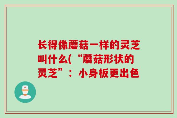 长得像蘑菇一样的灵芝叫什么(“蘑菇形状的灵芝”:小身板更出色 长得像蘑菇一样的灵芝叫什么(“蘑菇形状的灵芝”:小身板更出色