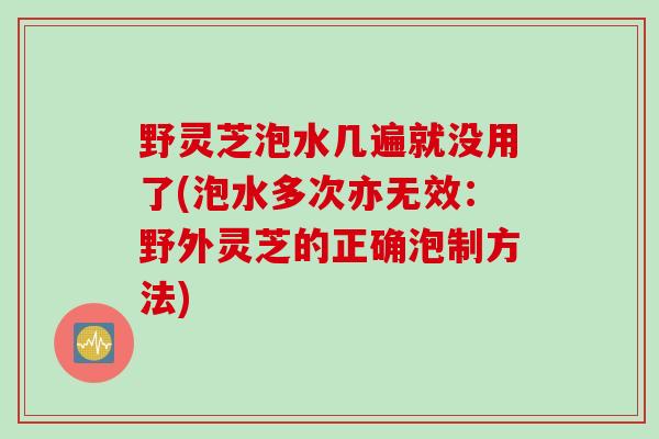 野灵芝泡水几遍就没用了(泡水多次亦无效：野外灵芝的正确泡制方法)
