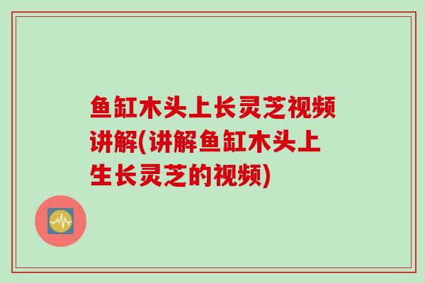 鱼缸木头上长灵芝视频讲解(讲解鱼缸木头上生长灵芝的视频)