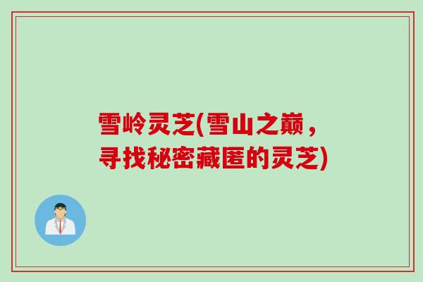 雪岭灵芝(雪山之巅，寻找秘密藏匿的灵芝)