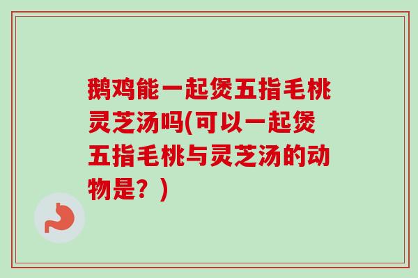 鹅鸡能一起煲五指毛桃灵芝汤吗(可以一起煲五指毛桃与灵芝汤的动物是？)