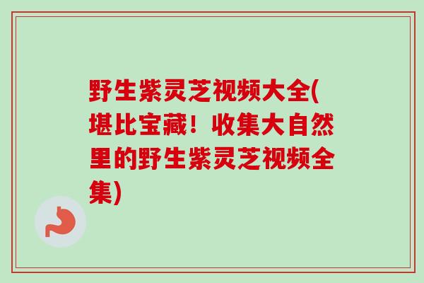 野生紫灵芝视频大全(堪比宝藏！收集大自然里的野生紫灵芝视频全集)
