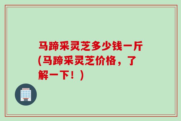马蹄采灵芝多少钱一斤(马蹄采灵芝价格，了解一下！)