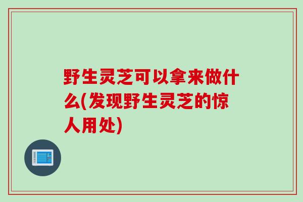 野生灵芝可以拿来做什么(发现野生灵芝的惊人用处)
