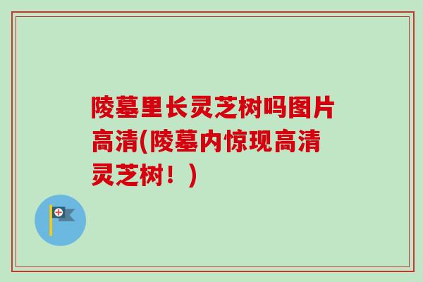 陵墓里长灵芝树吗图片高清(陵墓内惊现高清灵芝树！)