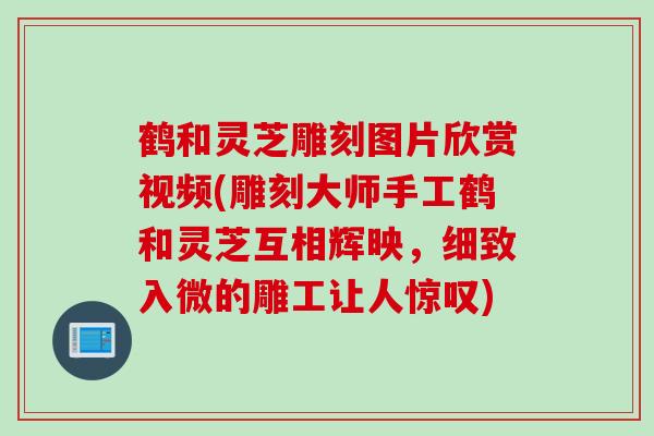 鹤和灵芝雕刻图片欣赏视频(雕刻大师手工鹤和灵芝互相辉映，细致入微的雕工让人惊叹)