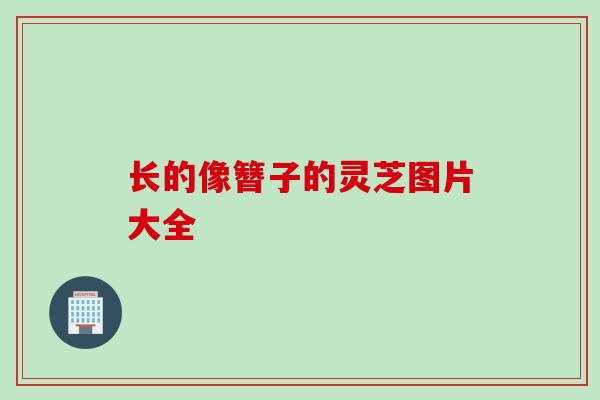 长的像簪子的灵芝图片大全