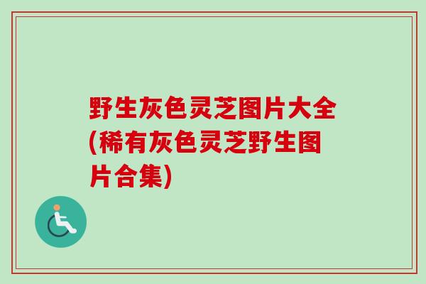 野生灰色灵芝图片大全(稀有灰色灵芝野生图片合集)