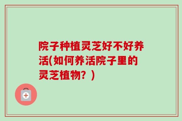 院子种植灵芝好不好养活(如何养活院子里的灵芝植物？)