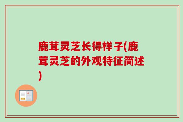 鹿茸灵芝长得样子(鹿茸灵芝的外观特征简述)