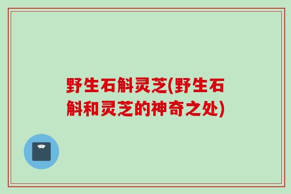 野生石斛灵芝(野生石斛和灵芝的神奇之处)