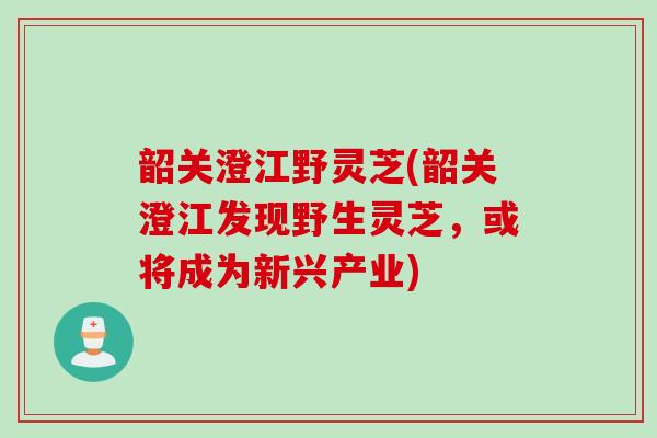 韶关澄江野灵芝(韶关澄江发现野生灵芝，或将成为新兴产业)