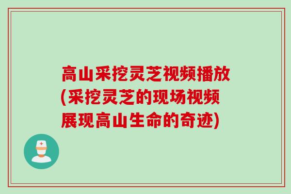 高山采挖灵芝视频播放(采挖灵芝的现场视频展现高山生命的奇迹)