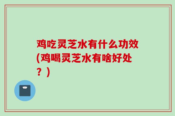 鸡吃灵芝水有什么功效(鸡喝灵芝水有啥好处？)