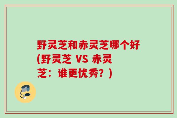 野灵芝和赤灵芝哪个好(野灵芝 VS 赤灵芝：谁更优秀？)